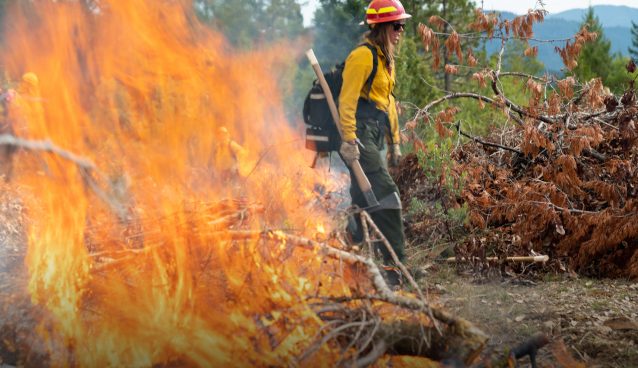 A firefighter carrying an axe stands behind a branch on fire.